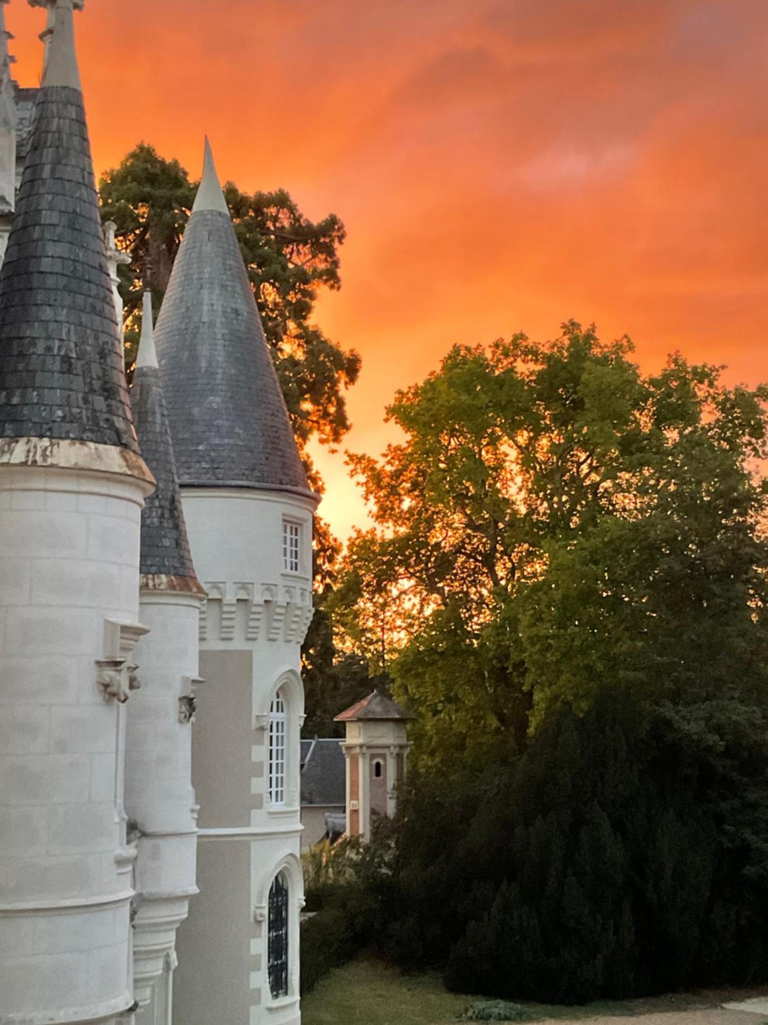 Chateau De Beauvais Azay-sur-Cher Dış mekan fotoğraf